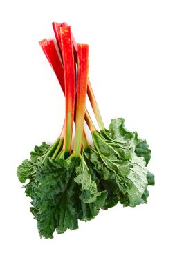 Taze ravent beyaz arkaplanda izole edilmiş.