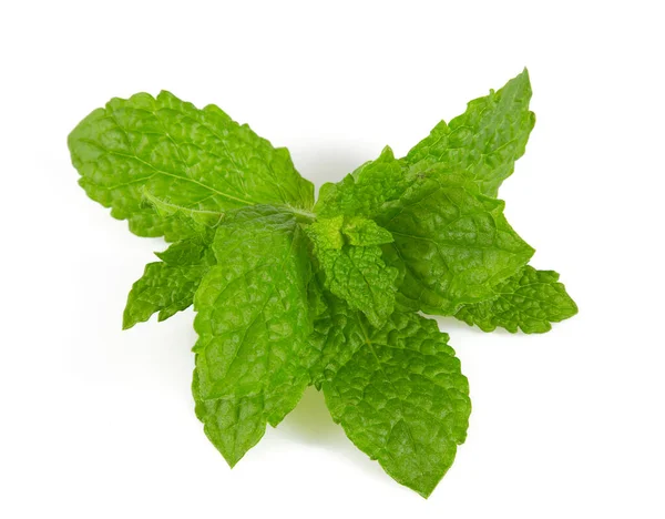 Hojas Frescas Menta Isoaltadas Sobre Fondo Blanco — Foto de Stock