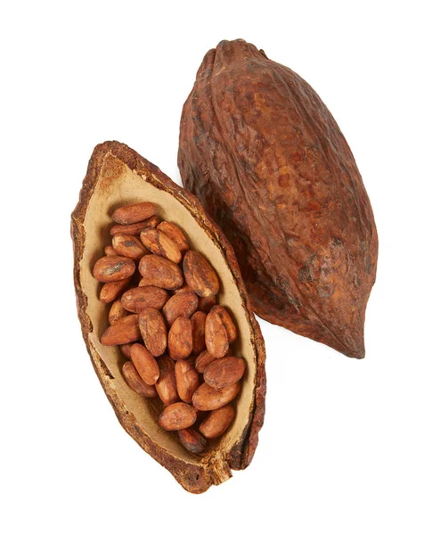 Granos Cacao Aislados Sobre Fondo Blanco — Foto de Stock