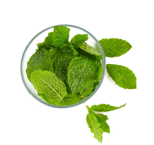 Menta Fresca Aislada Sobre Fondo Blanco — Foto de Stock