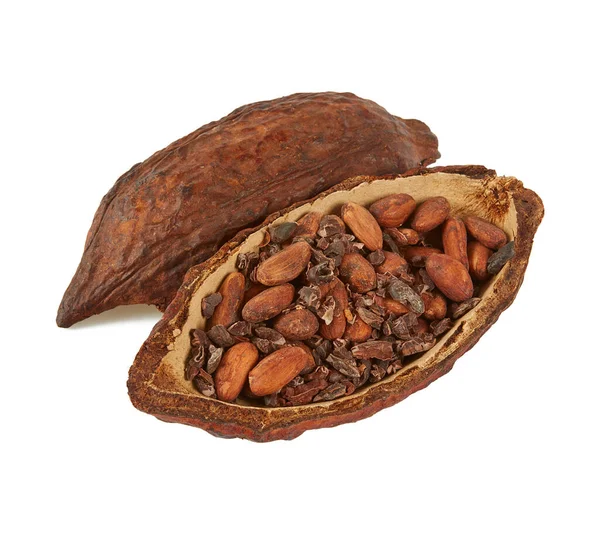 Granos Cacao Aislados Sobre Fondo Blanco —  Fotos de Stock