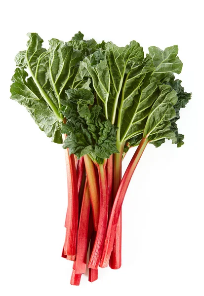 Taze ravent beyaz arkaplanda izole edilmiş.