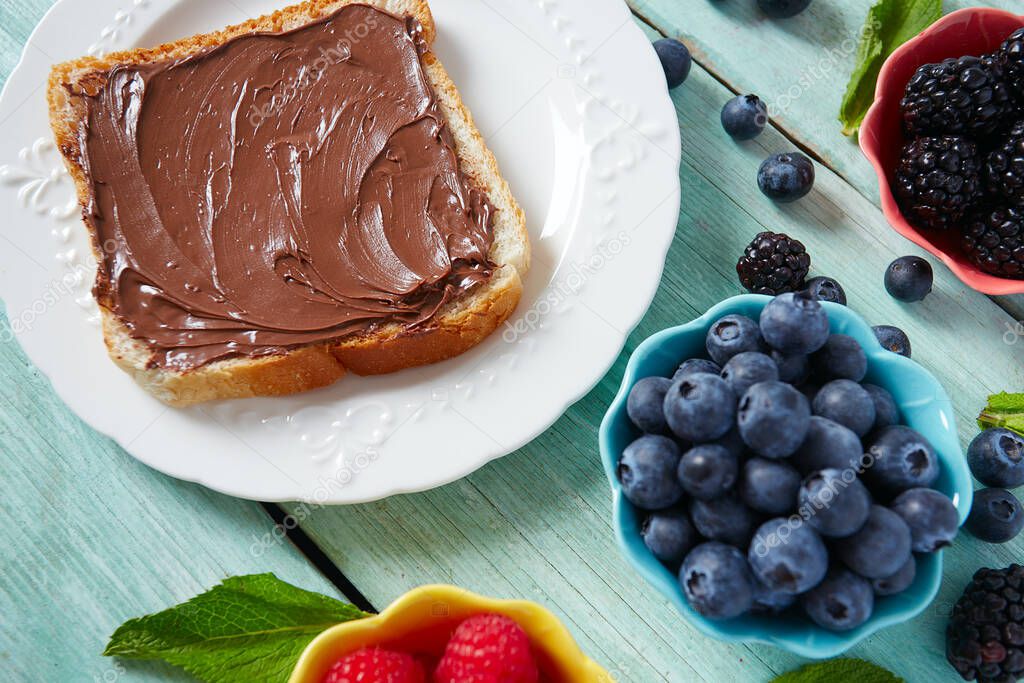 chocolate spread on bread and berries