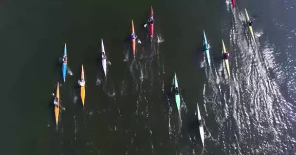 Letecké zobrazení: děti jsou na kajaku podél jezera — Stock video