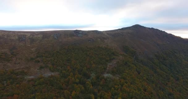 Veduta aerea di autunno foresta di montagna nella nebbia — Video Stock