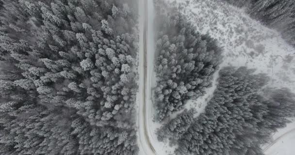 Drone piękny strzał drogi w lesie ze śniegu — Wideo stockowe