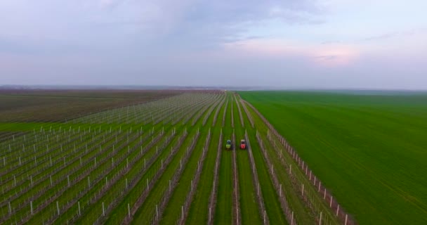 Flygfoto Över Underhåll Trädgården Med Två Traktorer — Stockvideo