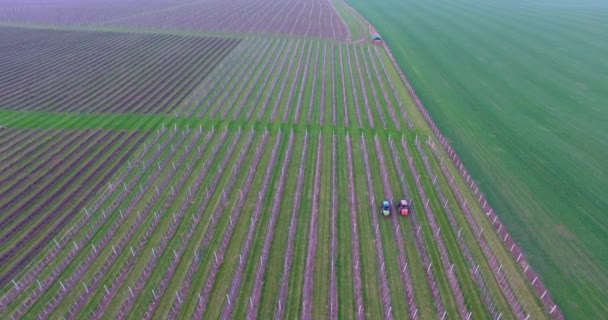 Ciągnika Pomocą Opryskiwacza Powietrze Kurz Maszyna Chemicznych Insektycydów Siarki Lub — Wideo stockowe