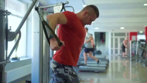 Treino Homem Muscular Com Barra Ginásio — Vídeo de Stock