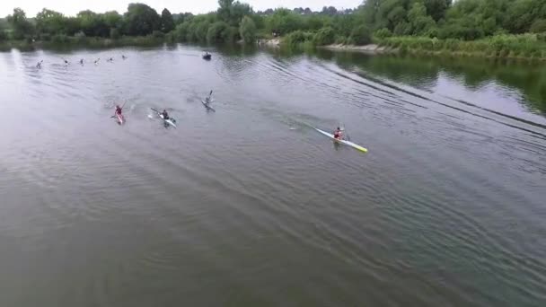 Letecké drone ptáci pohled na video sportovních kánoí a kajaků — Stock video