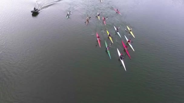 空中无人机鸟瞰运动独木舟和皮划艇的视频 — 图库视频影像