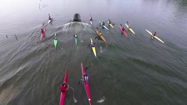 Letecké drone ptáci pohled na video sportovních kánoí a kajaků — Stock video