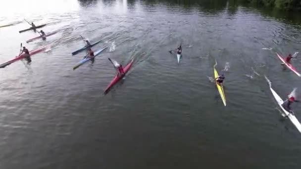 Letecké drone ptáci pohled na video sportovních kánoí a kajaků — Stock video