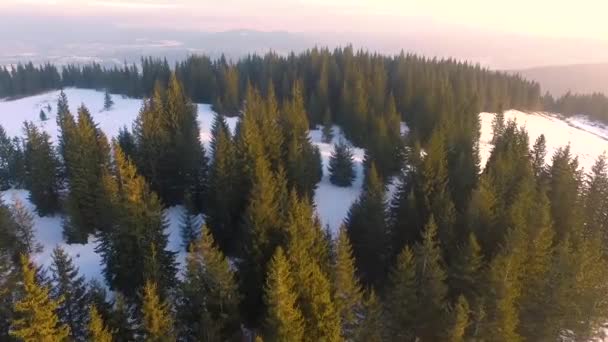 Śnieżny zimowy las podczas wschodu słońca, strzał z powietrza. Mrożone lasy zimowy krajobraz górski, wideo z powietrza. Zdjęcia z lotu ptaka, zimowy las. — Wideo stockowe