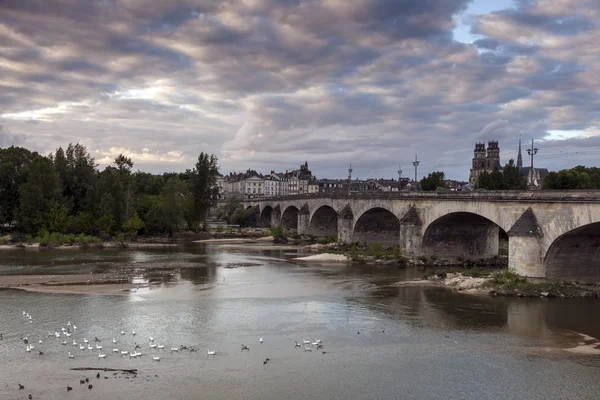 Orleans panorama met de rivier Loire — Stockfoto