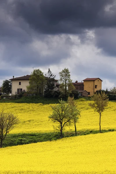 Тосканский пейзаж весной — стоковое фото