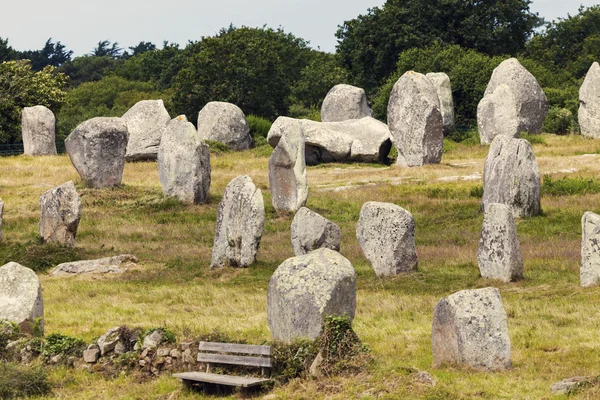 Piedras de carnac en Bretaña, Francia —  Fotos de Stock
