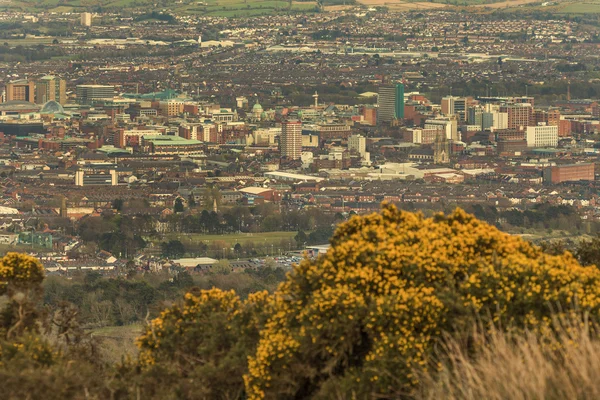 Aerial panorama över Belfast — Stockfoto