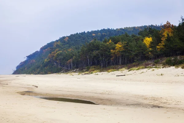 Пляж в Волинском национальном парке — стоковое фото