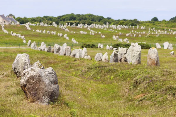 Carnac sten i Frankrig - Stock-foto