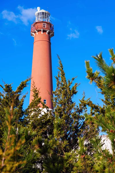 新泽西的 barnegat 灯塔 — 图库照片