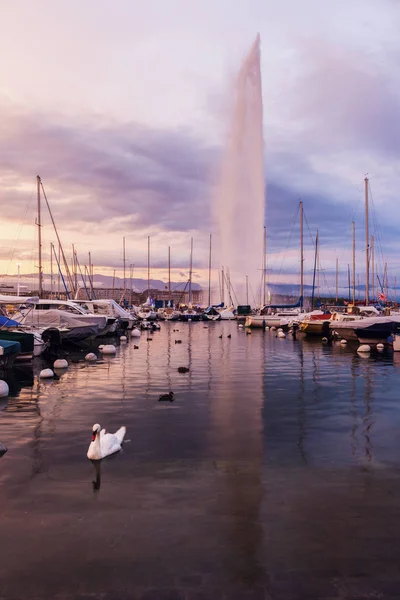 Jet d'Eau in Geneva — Stock Photo, Image