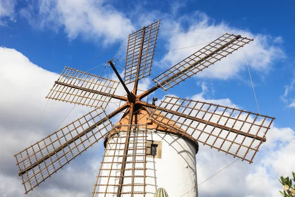 大加那利亚的风车 — 图库照片