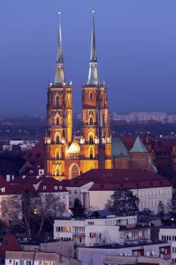 Wroclaw Katedrali, gece