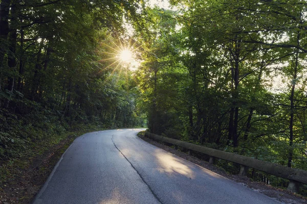 Carretera en Silesia Beskids en Polonia —  Fotos de Stock