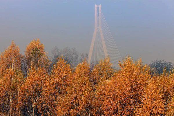 Rzeszow Tadeusz Mazowiecki Bridge'de