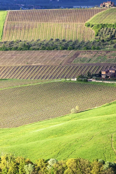 Toskana Landschaft im Frühling — Stockfoto