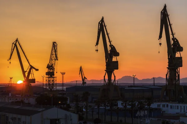 Port of Cadiz at sunrise — Stock Photo, Image