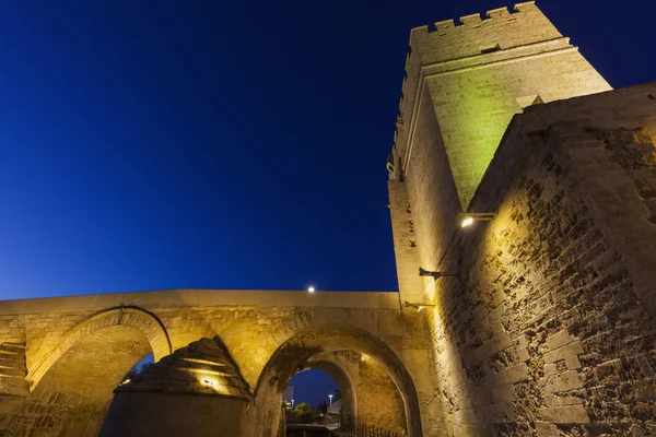 Calahorra tornet och romerska bron i cordoba — Stockfoto