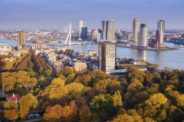 Rotterdam hava Panoraması  