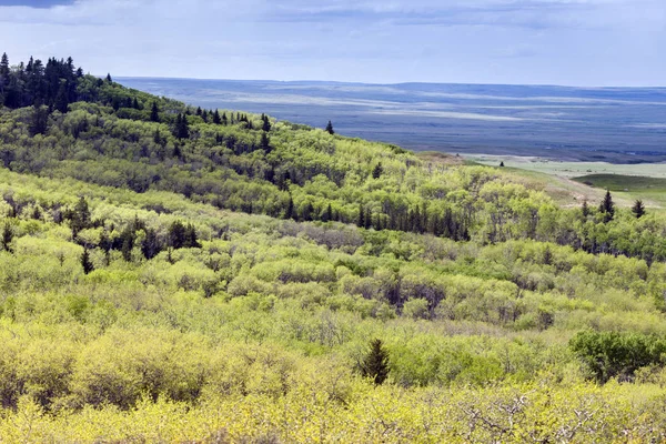 Parco nazionale delle praterie del Canada — Foto Stock