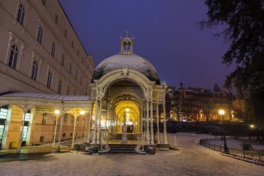 Karlovy Vary kışın