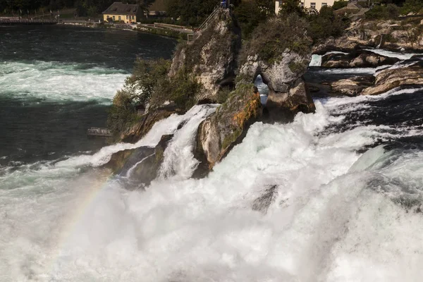 Reno cai em Neuhausen am Rheinfall — Fotografia de Stock