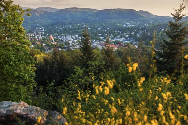 Panorama miasta Baden-Baden — Zdjęcie stockowe