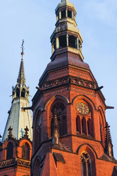 Katedral, Aziz Peter ve Paul Legnica içinde — Stok fotoğraf