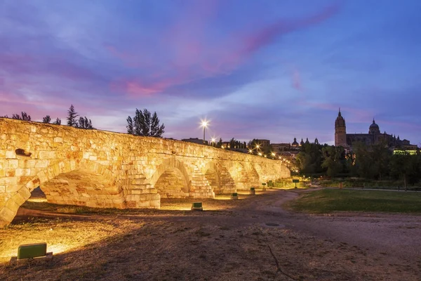 Catedral Nueva de Salamanca e Ponte Romana — Fotografia de Stock