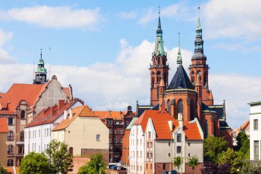 Katedral, Aziz Peter ve Paul Legnica içinde