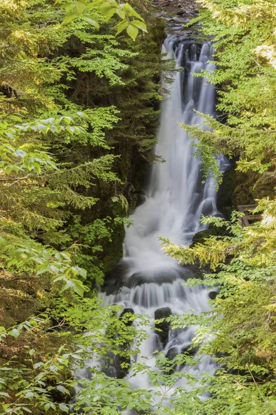 Vattenfall i Fundy nationalpark — Stockfoto