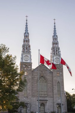 Notre dame Katedrali bazilika Ottawa
