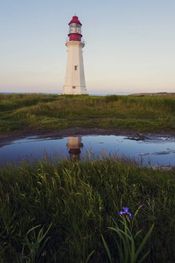 Nova Scotia düşük noktası deniz feneri