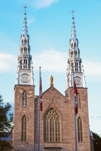 Notre dame Katedrali bazilika Ottawa — Stok fotoğraf