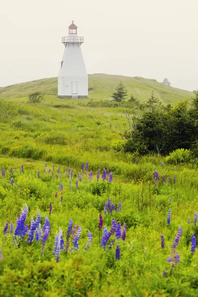 Franska Point Lighthouse i Nova Scotia — Stockfoto