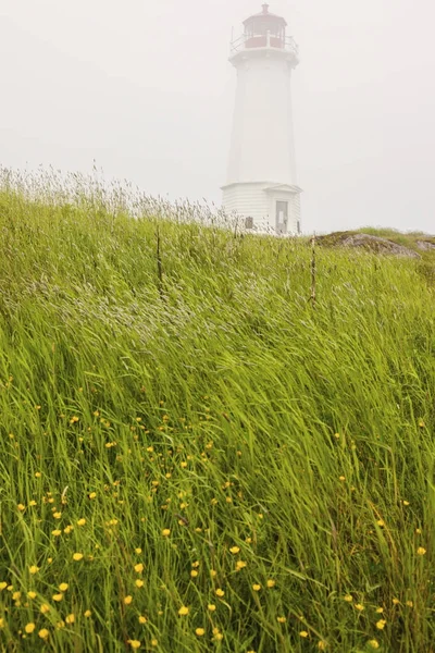 Louisbourg fyr i dimman — Stockfoto