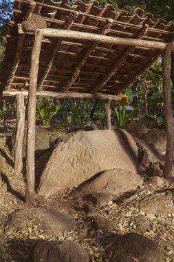 Petroglifler: Ometepe Island üzerinde. Managua, Nicaragua.