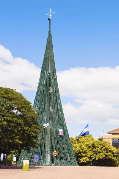 Julgran Plaza Republica Managua Managua Och Nicaragua — Stockfoto