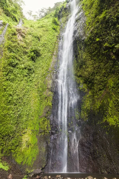 Ometepe 岛上的三雷蒙瀑布 马那瓜 尼加拉瓜 — 图库照片